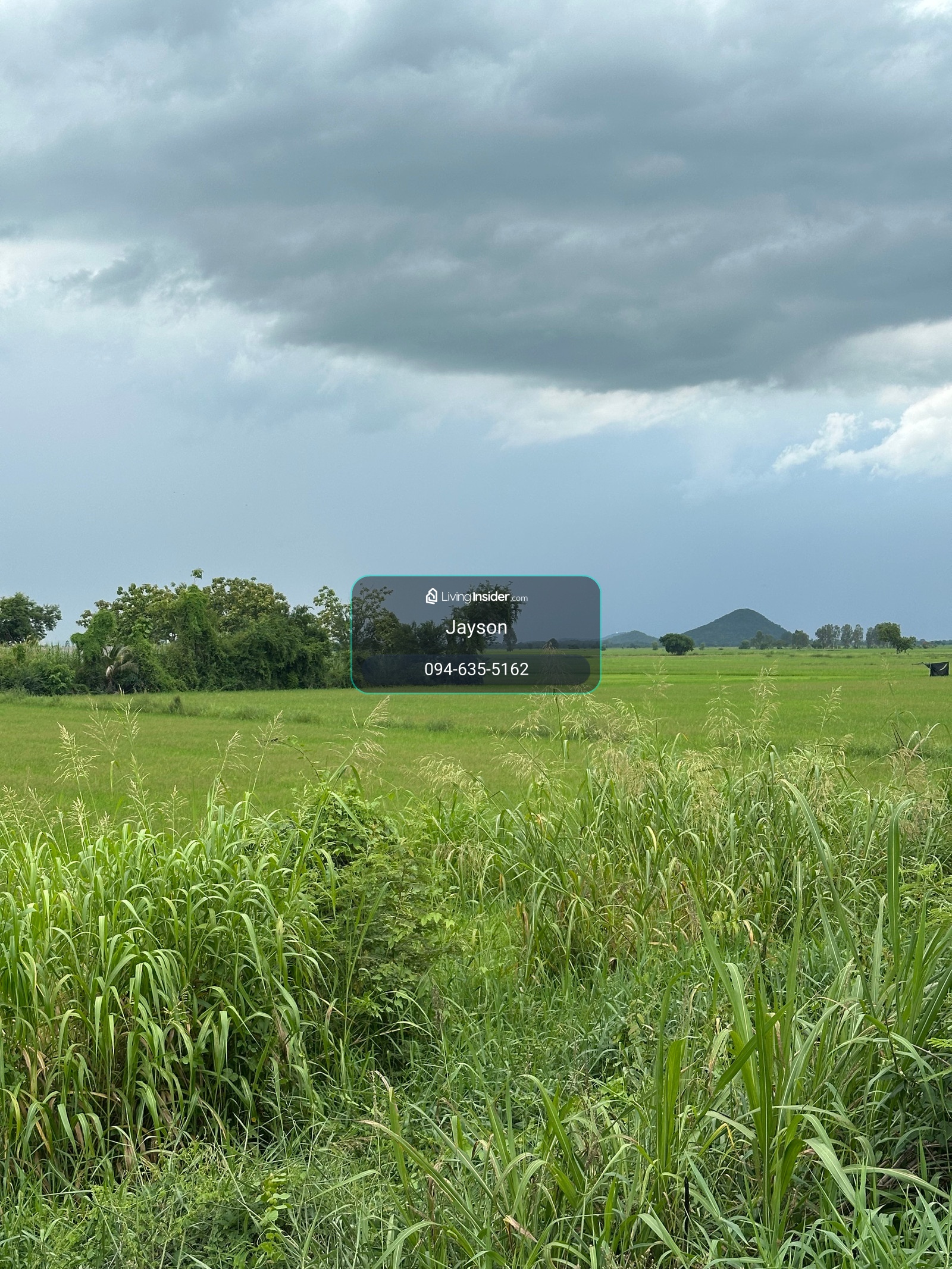 ขาย ที่ดิน ติดถนน เดิมบาง จ.สุพรรณบุรี – รูปที่ 4