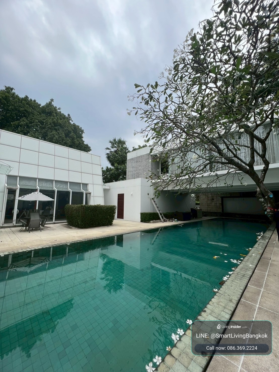 ปล่อยเช่าและขาย บ้านเดี่ยวระดับซูเปอร์ลักชัวรี  แปลงมุมวิวสวน บรรยากาศร่มรื่น ขนาดที่ดิน 1 ไร่ (4 ห้องนอน 5 ห้องน้ำ พร้อมสระว่ายน้ำ) เฟอร์นิเจอร์ครบ สังคมคุณภาพ ทำเลปากเกร็ด-แจ้งวัฒนะ ใกล้ รร.นานาชาติ ISB ในระยะเดินถึง – รูปที่ 2