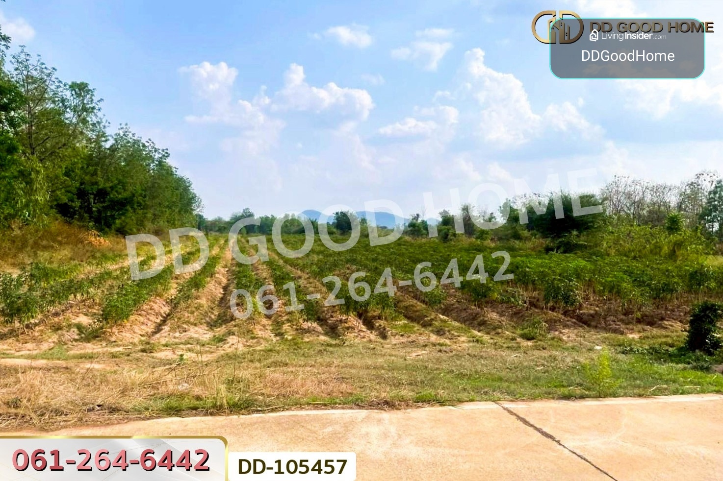 ที่ดินด่านมะขามเตี้ย 4 ไร่ 399.7 ตร.ว. กาญจนบุรี ใกล้โรงพยาบาลด่านมะขามเตี้ย DD-105457 – รูปที่ 2
