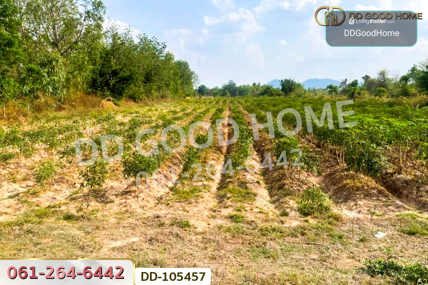 ที่ดินด่านมะขามเตี้ย 4 ไร่ 399.7 ตร.ว. กาญจนบุรี ใกล้โรงพยาบาลด่านมะขามเตี้ย DD-105457 – รูปที่ 3
