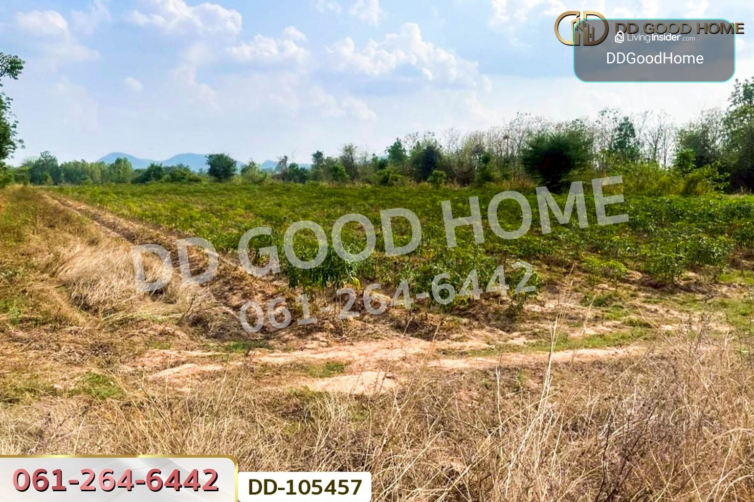 ที่ดินด่านมะขามเตี้ย 4 ไร่ 399.7 ตร.ว. กาญจนบุรี ใกล้โรงพยาบาลด่านมะขามเตี้ย DD-105457 – รูปที่ 4