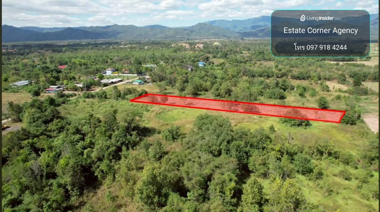 97962 - Empty land for sale, Nam Chun Subdistrict, Lom Sak District, Phetchabun Province. – รูปที่ 2