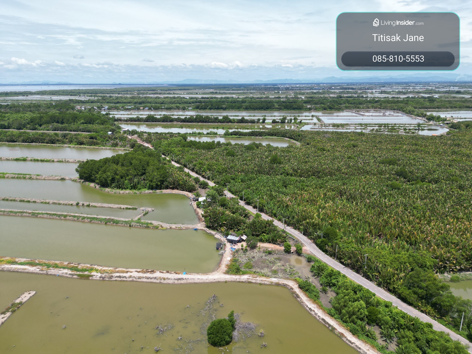 #Land for sale, very cheap price #Land for sale in Laem Yai Mae Klong land Mueang Samut Songkhram Near the Gulf of Thailand Near the mouth of the Mae Klong River Located on the opposite side of Don Hoi Lot. – รูปที่ 4