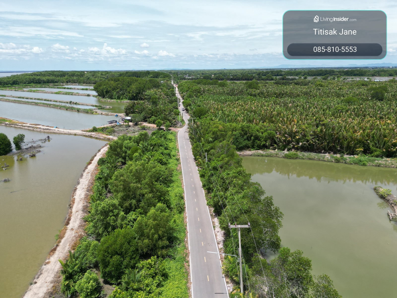 #Land for sale, very cheap price #Land for sale in Laem Yai Mae Klong land Mueang Samut Songkhram Near the Gulf of Thailand Near the mouth of the Mae Klong River Located on the opposite side of Don Hoi Lot. – รูปที่ 3