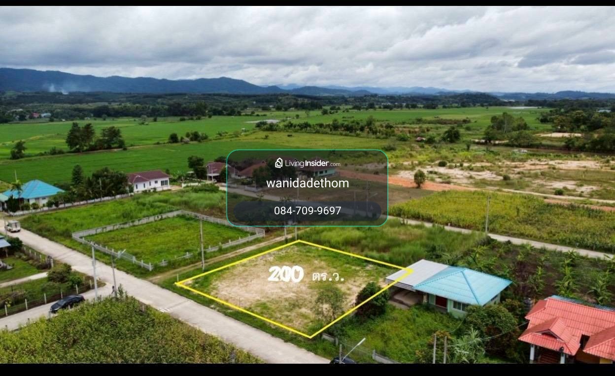 Land for sale, 200 sq m. or 2 ngan, Soi Wiang Subdistrict Administrative Organization, Wiang Pa Pao District, Chiang Rai, suitable for building a house and accommodation, 750,000 baht per job. – รูปที่ 3