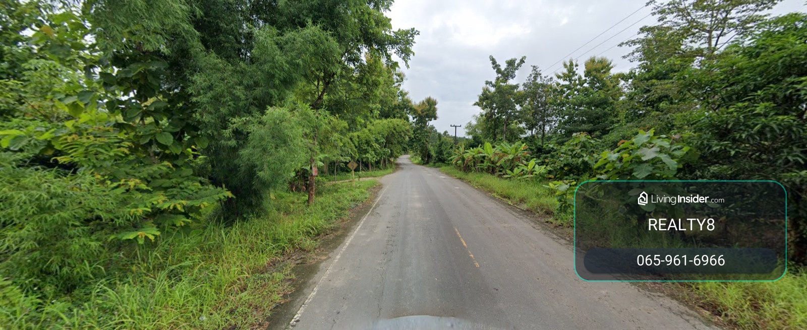 Land for sale next to the Nan River, 8 rai, Phu Phiang District, with a shady golden teak forest garden, next to the famous hotel Nan De Panna, best price only 12 million baht. – รูปที่ 4