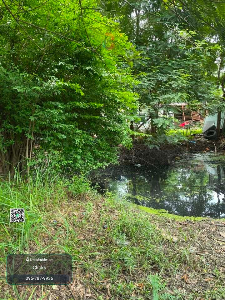 💥Vai💥 Land 369 sq m. ✅ almost 1 rai ✅ Bangkok 🎉🎉🎉🎉 S cheapest price 5 million, get almost 1 rai, Sukhapiban 5 – รูปที่ 3