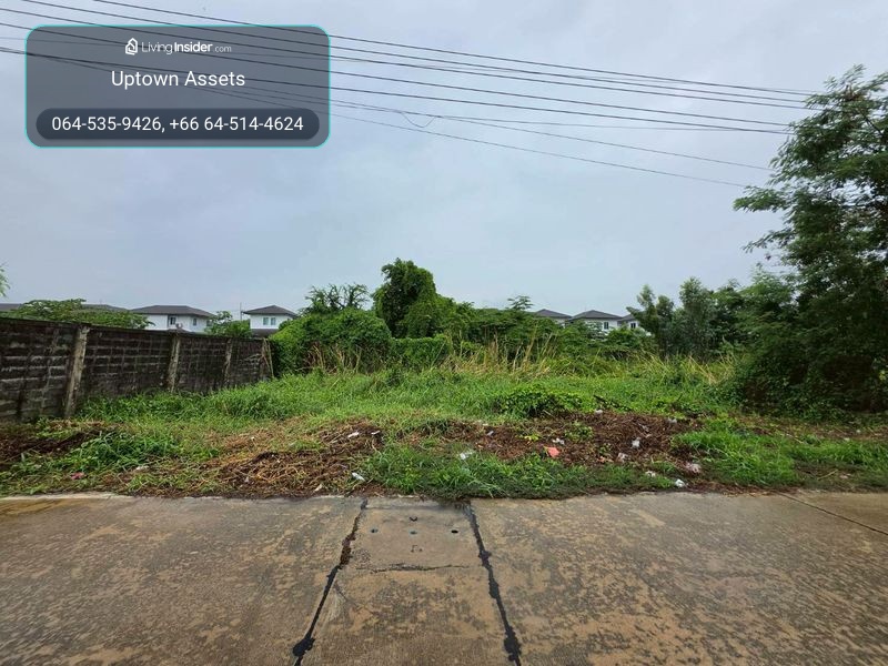 ขายที่ดิน ใกล้มหาวิทยาลัยกรุงเทพ(รังสิต) – รูปที่ 3