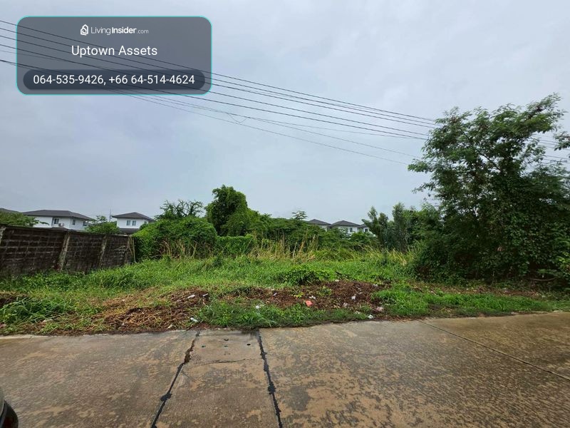 ขายที่ดิน ใกล้มหาวิทยาลัยกรุงเทพ(รังสิต) – รูปที่ 2