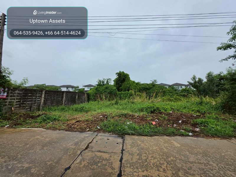 ขายที่ดิน ใกล้มหาวิทยาลัยกรุงเทพ(รังสิต) – รูปที่ 4
