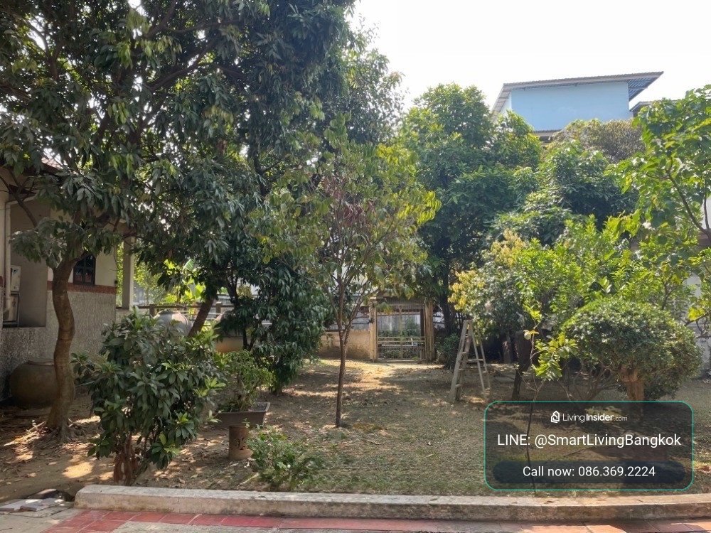ขายที่ดินกัลปพฤกษ์ ใกล้วงแหวนกาญจนาภิเษก พร้อมอาคารเดิม 2 หลัง ผังเมือง ย.8 เหมาะลงทุนและพัฒนาธุรกิจ – รูปที่ 3