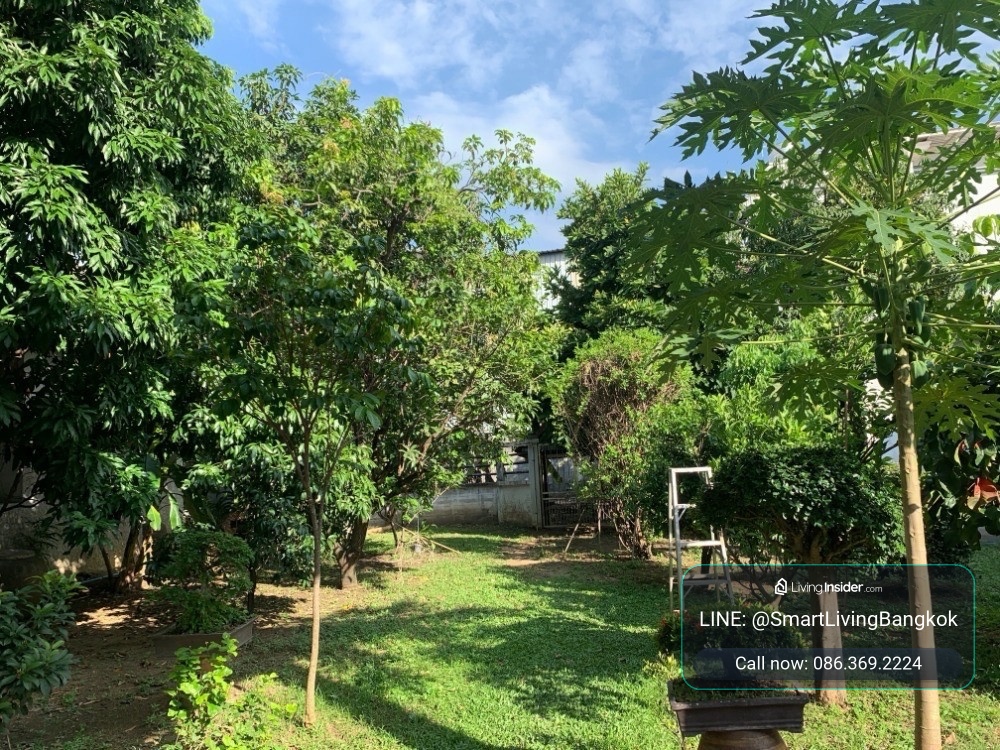 ขายที่ดินกัลปพฤกษ์ ใกล้วงแหวนกาญจนาภิเษก พร้อมอาคารเดิม 2 หลัง ผังเมือง ย.8 เหมาะลงทุนและพัฒนาธุรกิจ – รูปที่ 2
