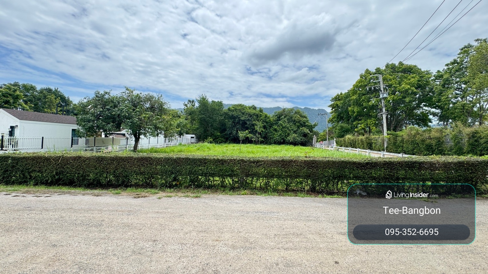 ขายที่ดินเขาใหญ่ พญาเย็น ปากช่อง 335 ตร.ว. แปลงสวย วิวภูเขา ถนน 2 ด้าน – รูปที่ 3