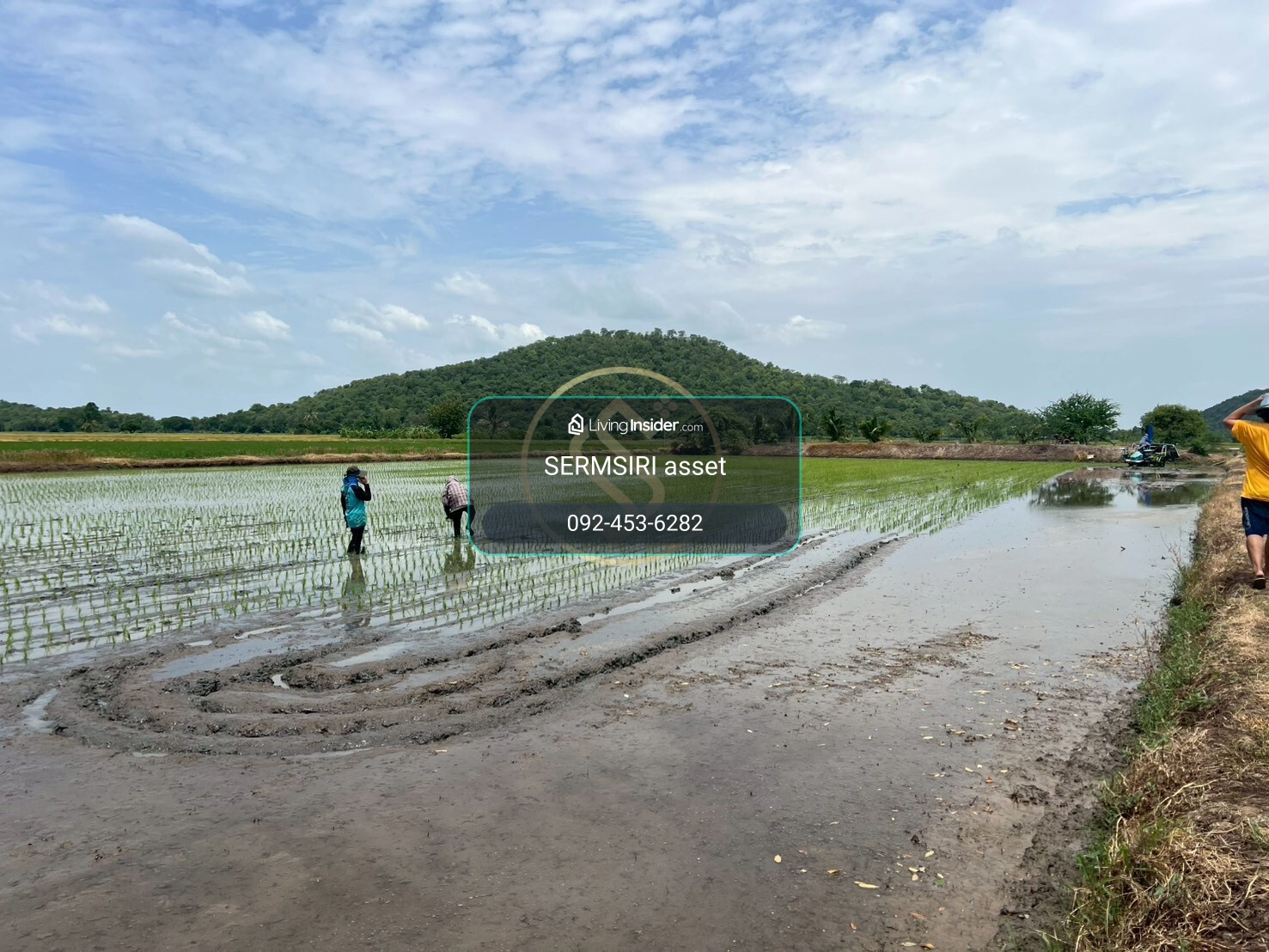 Urgent sale, beautiful land in Suphanburi, 5 rai 82.1 sq m., Doem Bang Nang Buat District, good location, beautiful scenery, safe. – รูปที่ 2