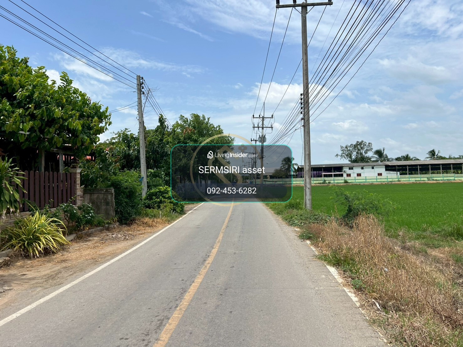 Urgent sale, beautiful land in Suphanburi, 5 rai 82.1 sq m., Doem Bang Nang Buat District, good location, beautiful scenery, safe. – รูปที่ 4