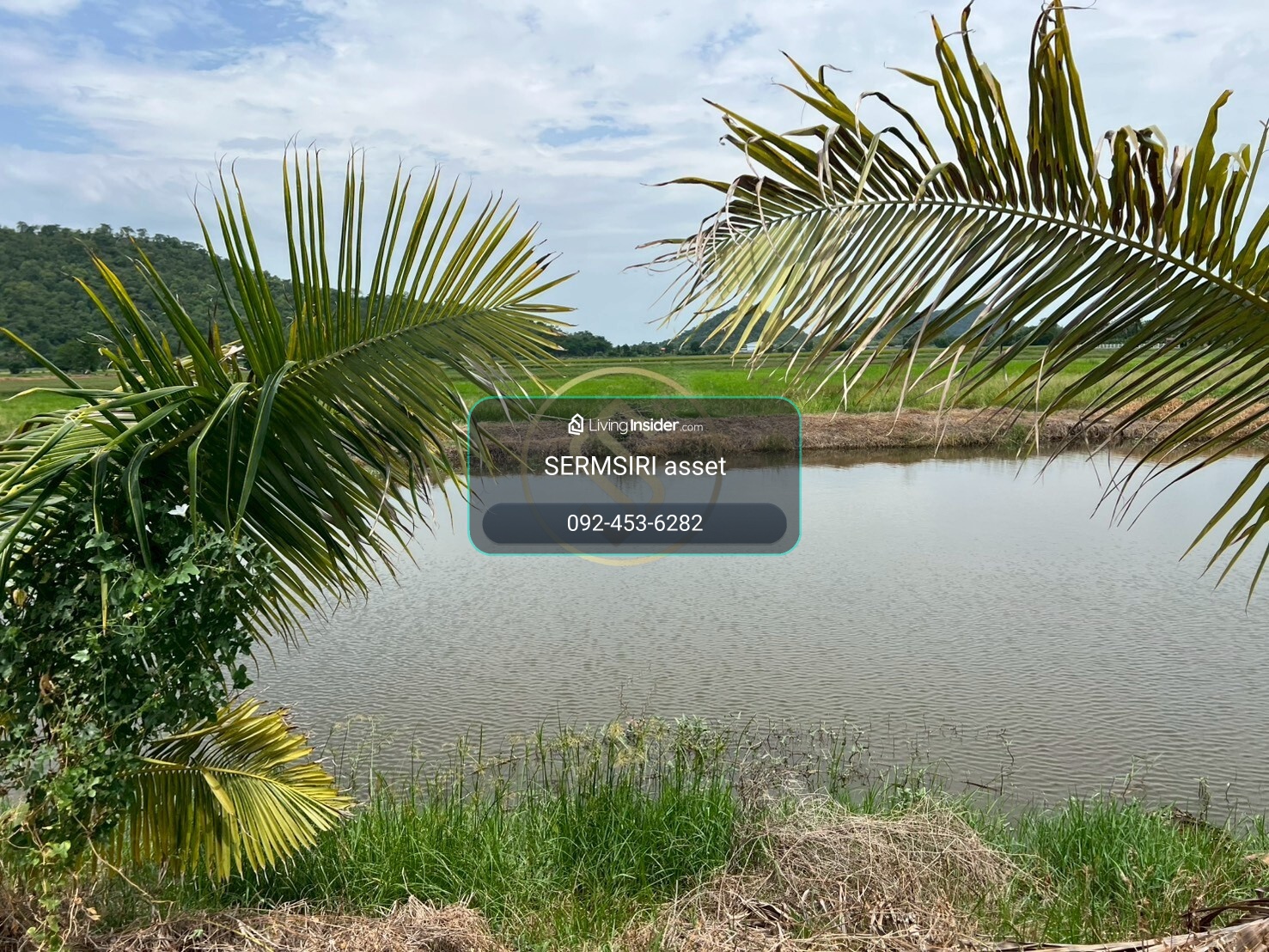 Urgent sale, beautiful land in Suphanburi, 5 rai 82.1 sq m., Doem Bang Nang Buat District, good location, beautiful scenery, safe. – รูปที่ 3