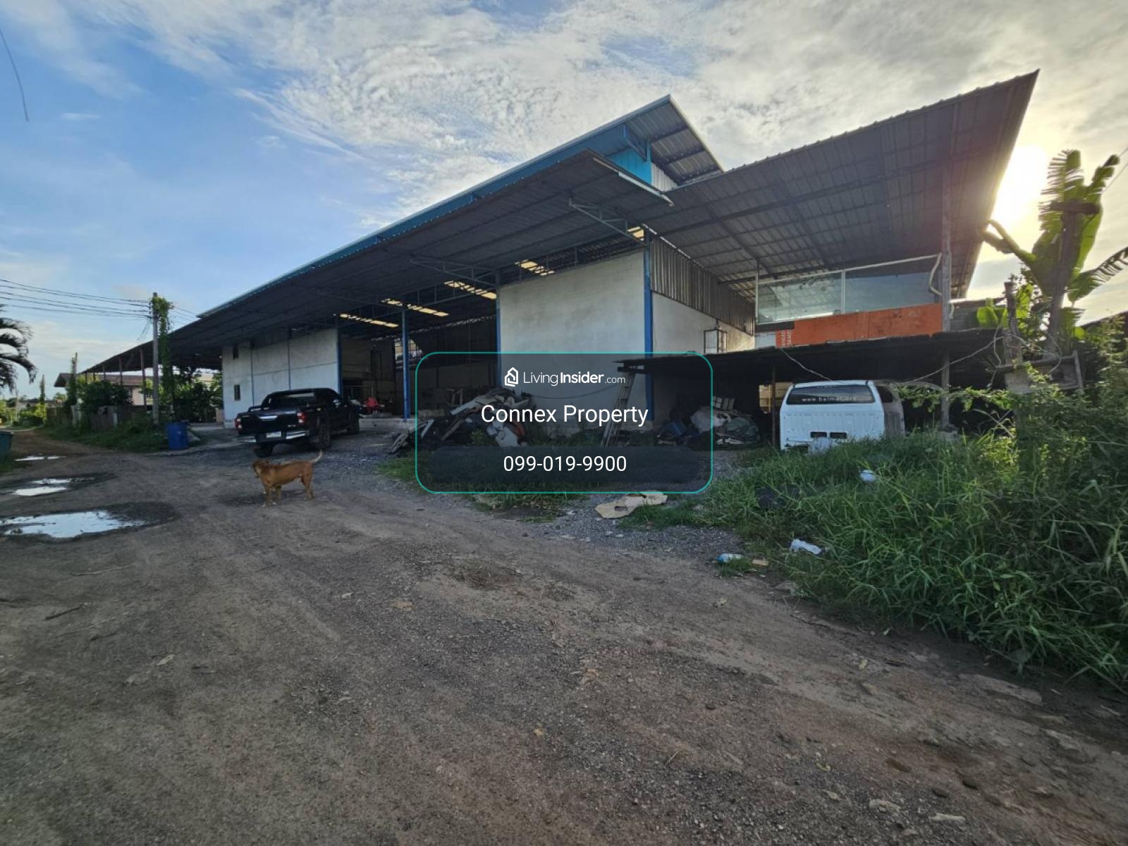 For Sale Land with warehouse, Surinwong , Lam Phak Chi , Nong Chok , Bangkok , CX-164152 – รูปที่ 2