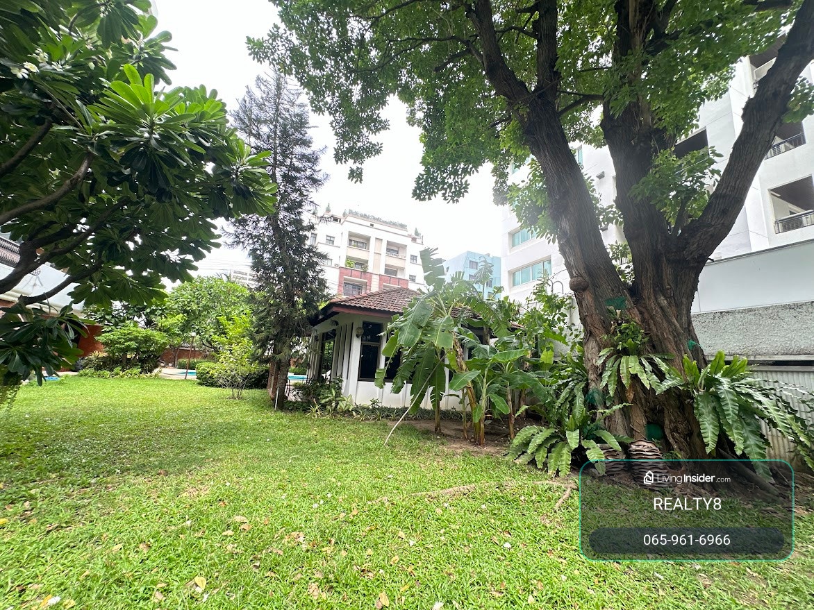 ให้เช่า Ruamrudee Penthouse (ร่วมฤดี เพนท์เฮ้าส์) 3 ห้องนอน 3 ห้องน้ำ ขนาดใหญ่ 295.13 ตร.ม. ใกล้ BTS เพลินจิต ระเบียงกว้าง วิวเปิดโล่ง ร่มรื่นเป็นส่วนตัว – รูปที่ 3