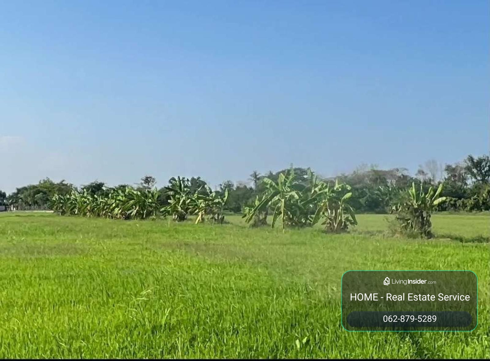 Land in Ratchaburi / 86 Square Wa (FOR SALE) EARK067 – รูปที่ 2