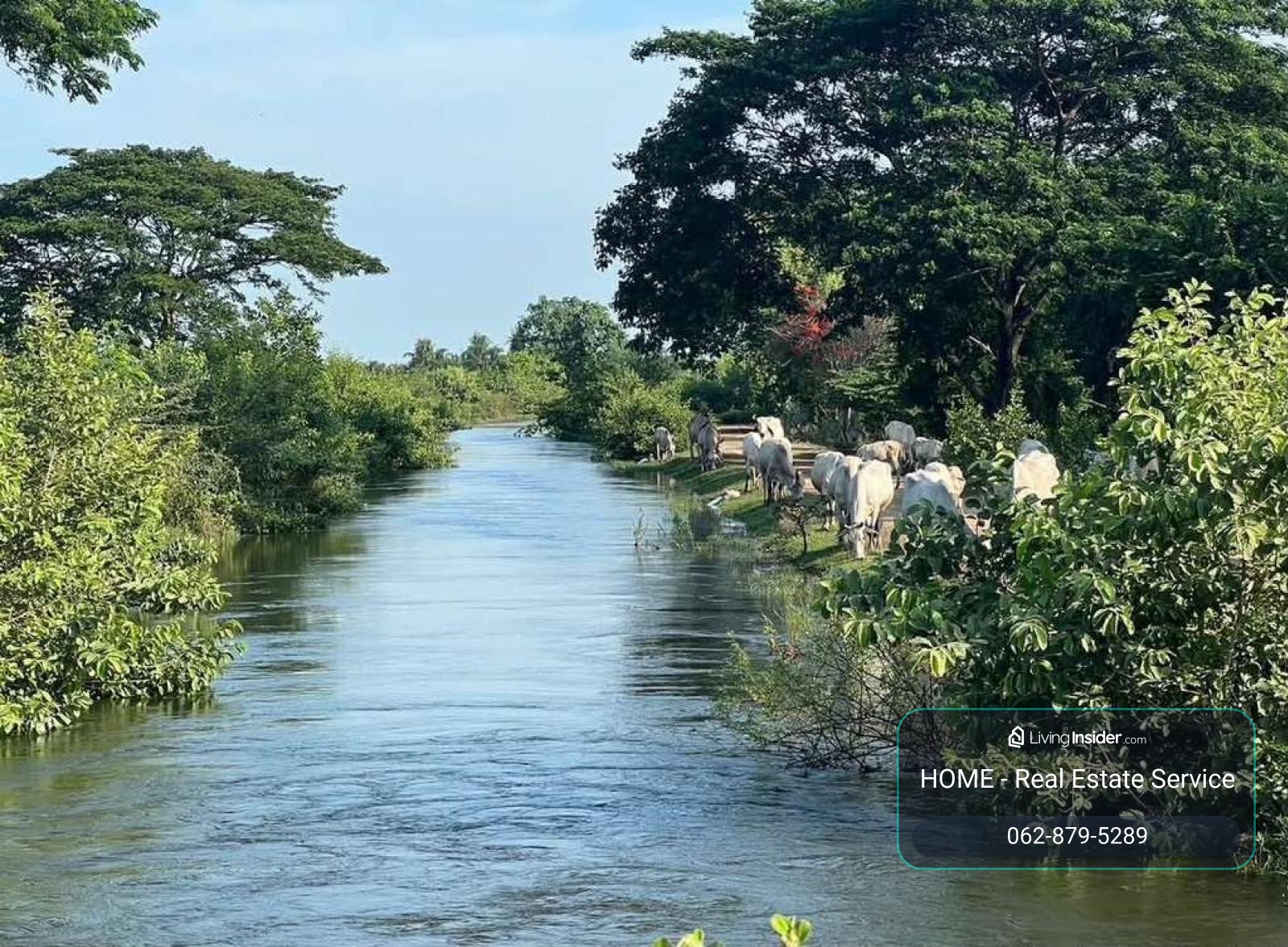 Land in Ratchaburi / 86 Square Wa (FOR SALE) EARK067 – รูปที่ 3