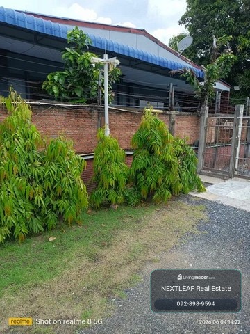 1. Land area 260 sq.w. seperate from 3 rai consisting of – รูปที่ 3