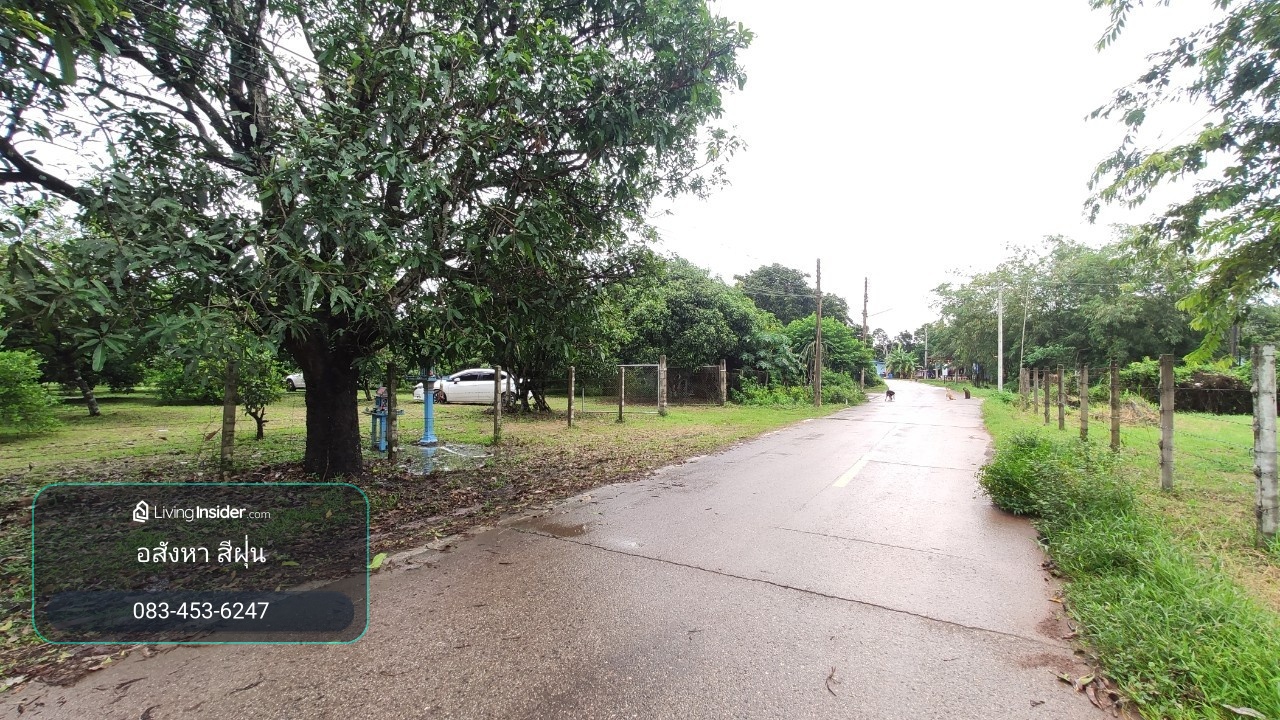 Land for sale, 3 rai 2 ngan 31 square wah, Road 4025, already filled, has a fruit orchard, Dong Phra Ram Subdistrict, Mueang Prachin Buri District. Prachinburi Province – รูปที่ 2
