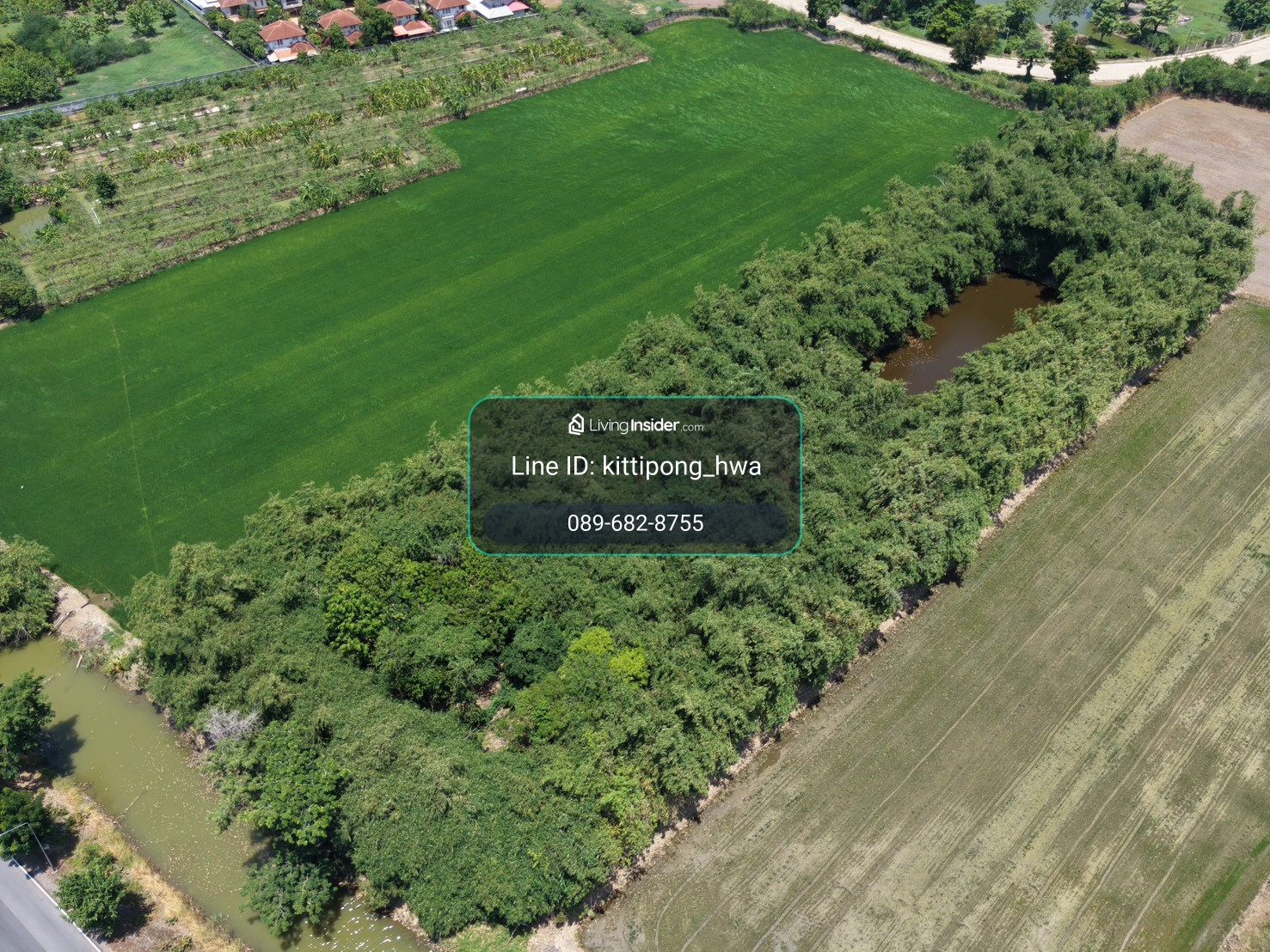 Land for sale, Tai Ko Subdistrict, Sam Khok District, Pathum Thani, size 6 rai 73 square wah, next to a public water canal, paved road. – รูปที่ 3