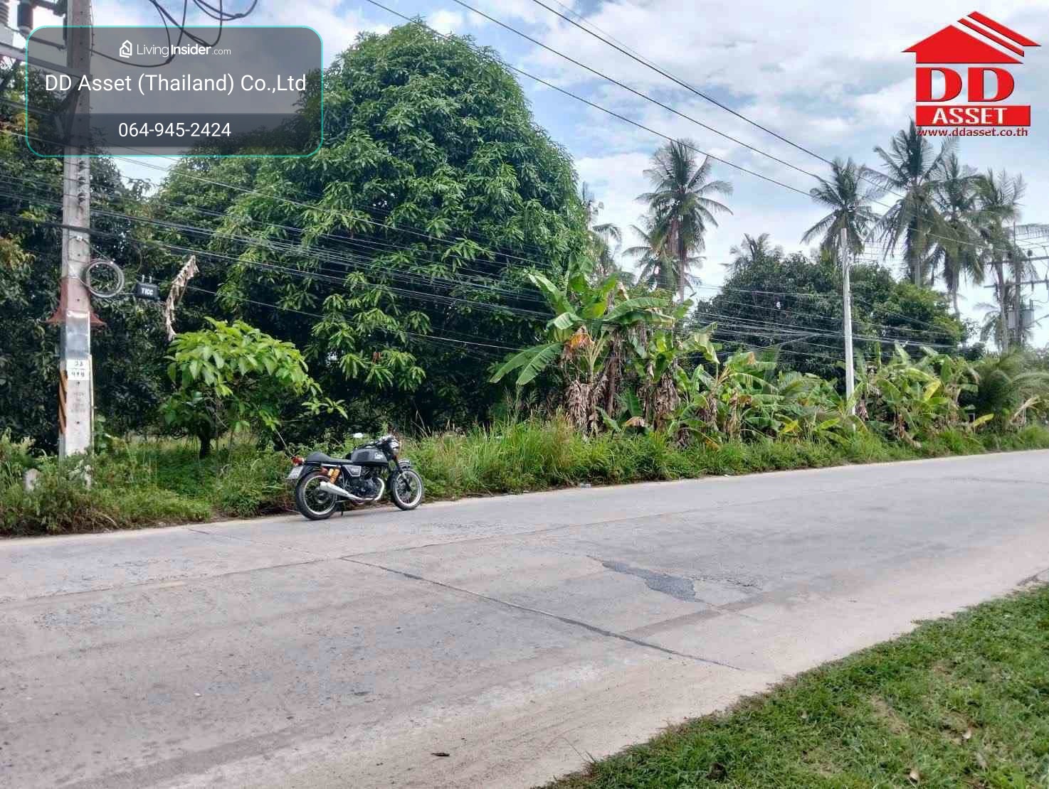 ขาย ที่ดินเปล่าติดถนน เกาะพงัน จ.สุราษฎร์ธานี รหัสทรัพย์ : L8074 – รูปที่ 2