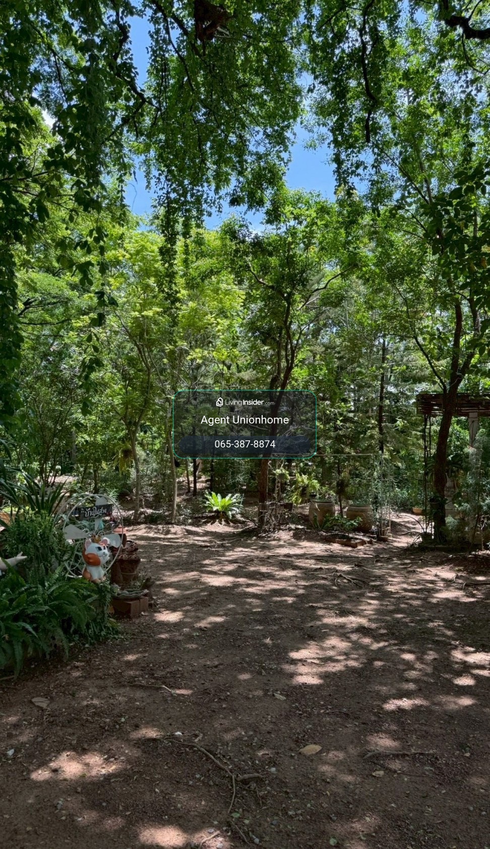 Single house for sale With fruit orchard, Muak Lek, Saraburi (800 meters from Mittraphap) (N.2262) – รูปที่ 3