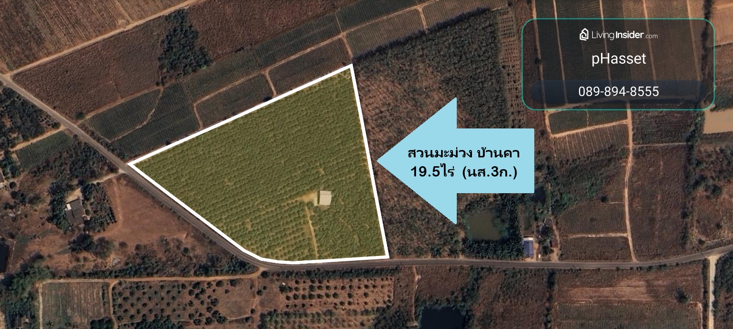 Ban Kha mango orchard land Ratchaburi Province  19.5 rai selling cheap – รูปที่ 4