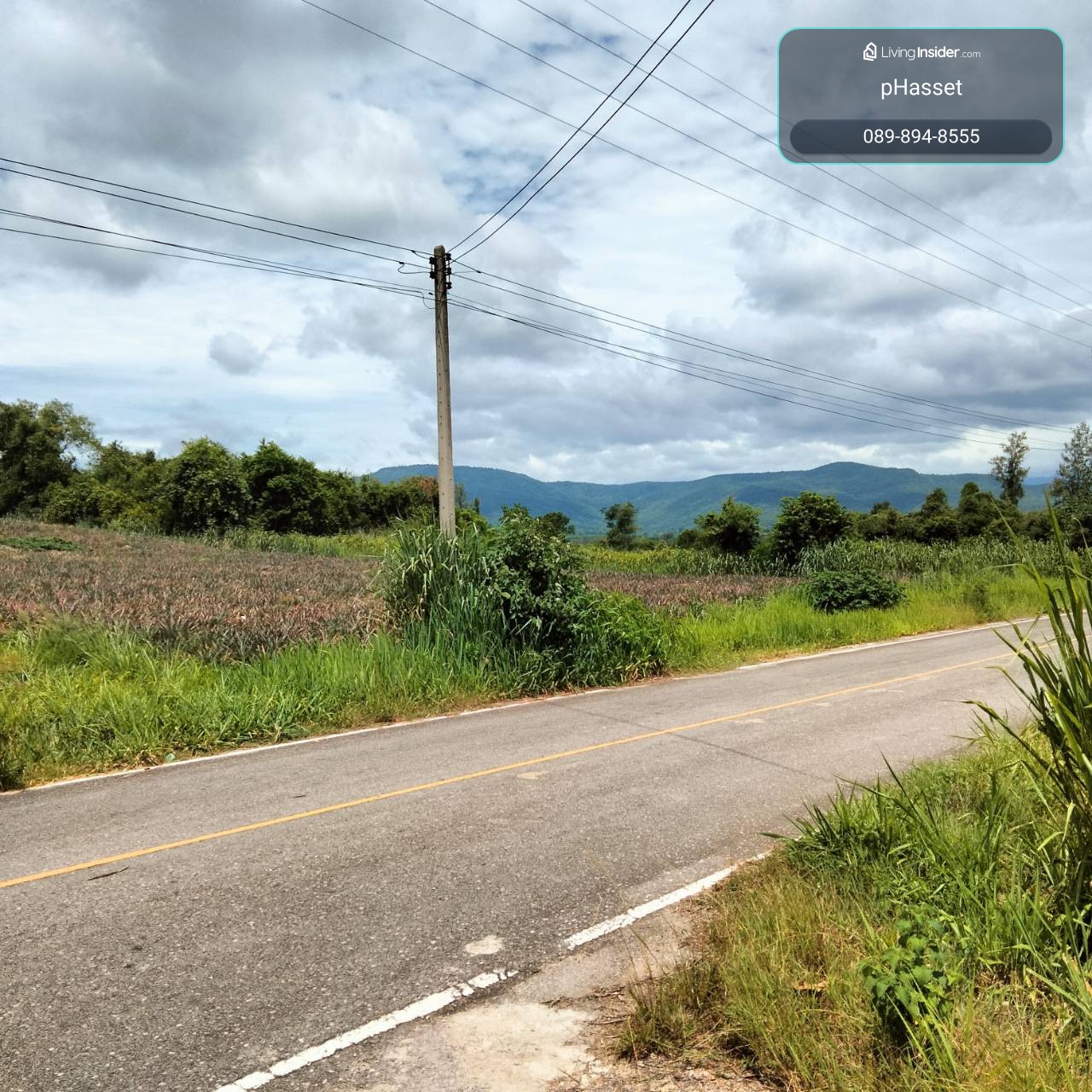Ban Kha mango orchard land Ratchaburi Province  19.5 rai selling cheap – รูปที่ 3