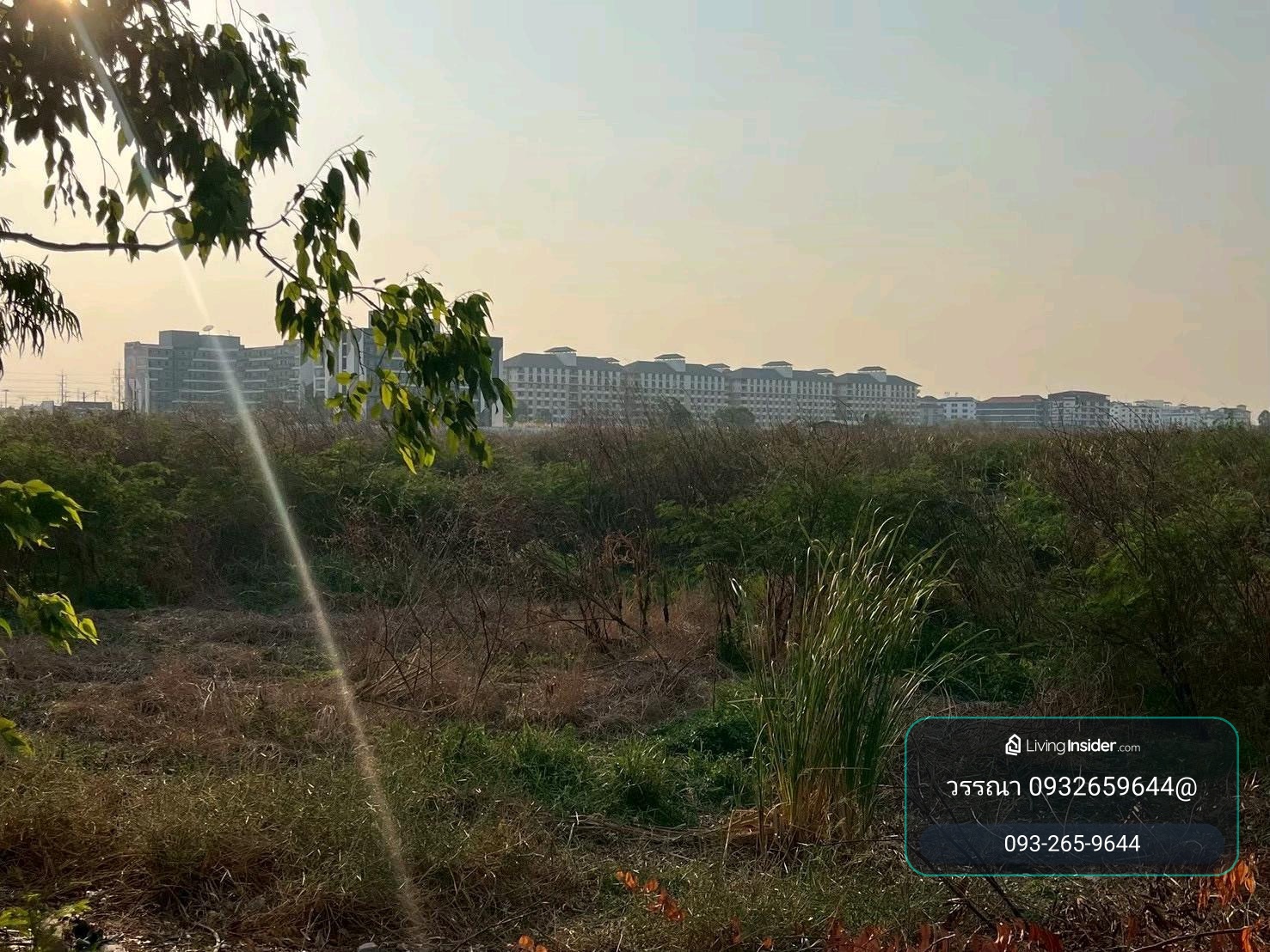 ขายที่ดิน 20 ไร่ 80.40 ตร.ว นิคมโรจนะ – รูปที่ 2