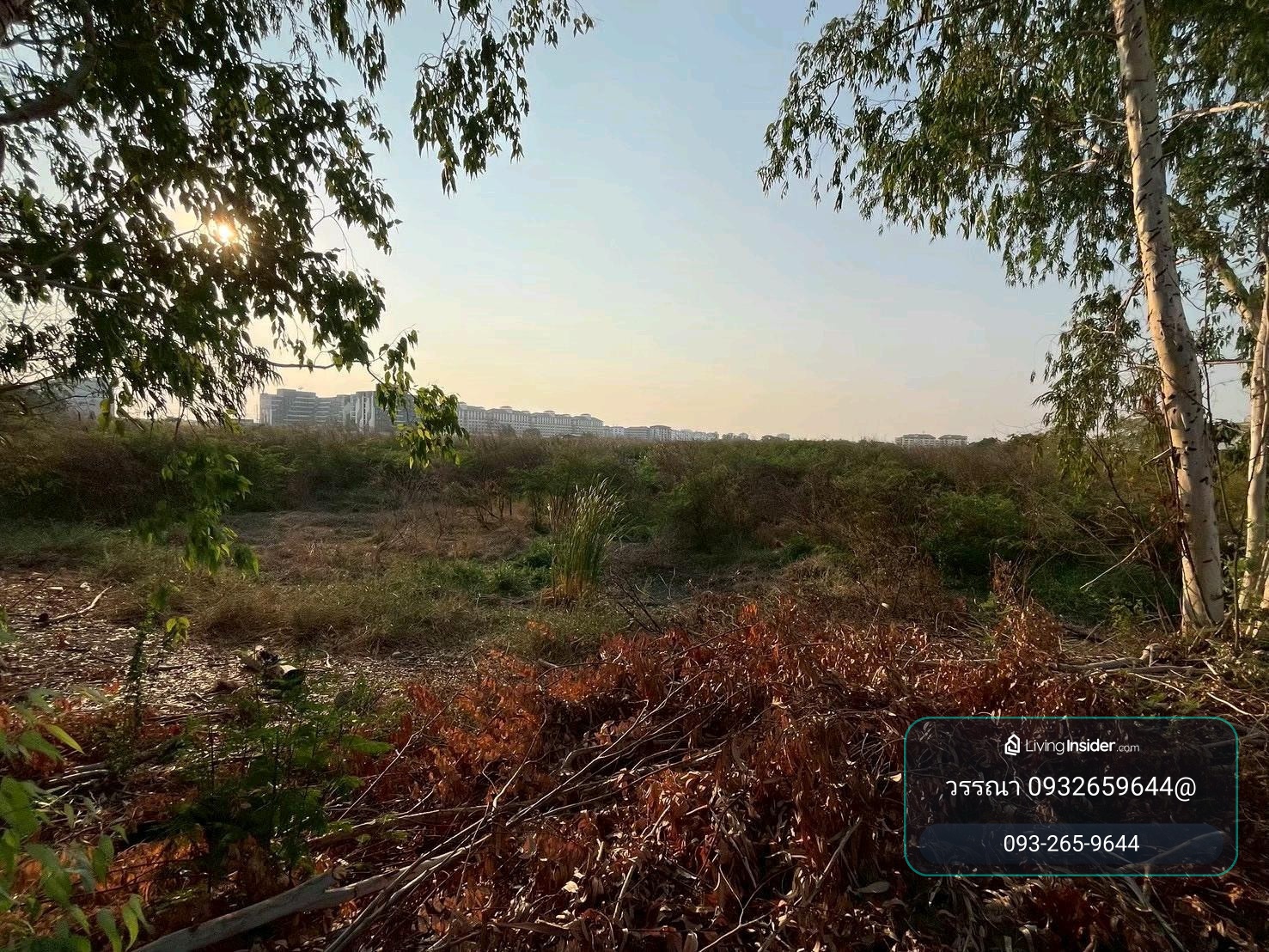 ขายที่ดิน 20 ไร่ 80.40 ตร.ว นิคมโรจนะ – รูปที่ 4