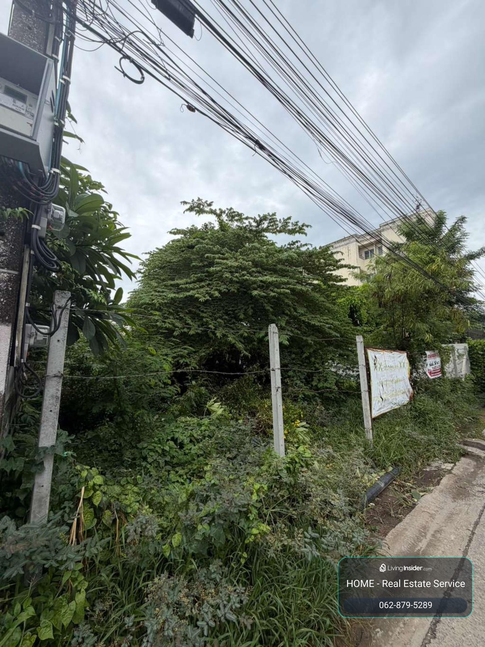 ที่ดิน 100 ตร.ว. ซอยแบริ่ง 13 / 100 ตร.วา (ขาย), Land plot of 100 square wah, Soi Bearing 13. / 100 Square Wa (FOR SALE) DA111 – รูปที่ 2