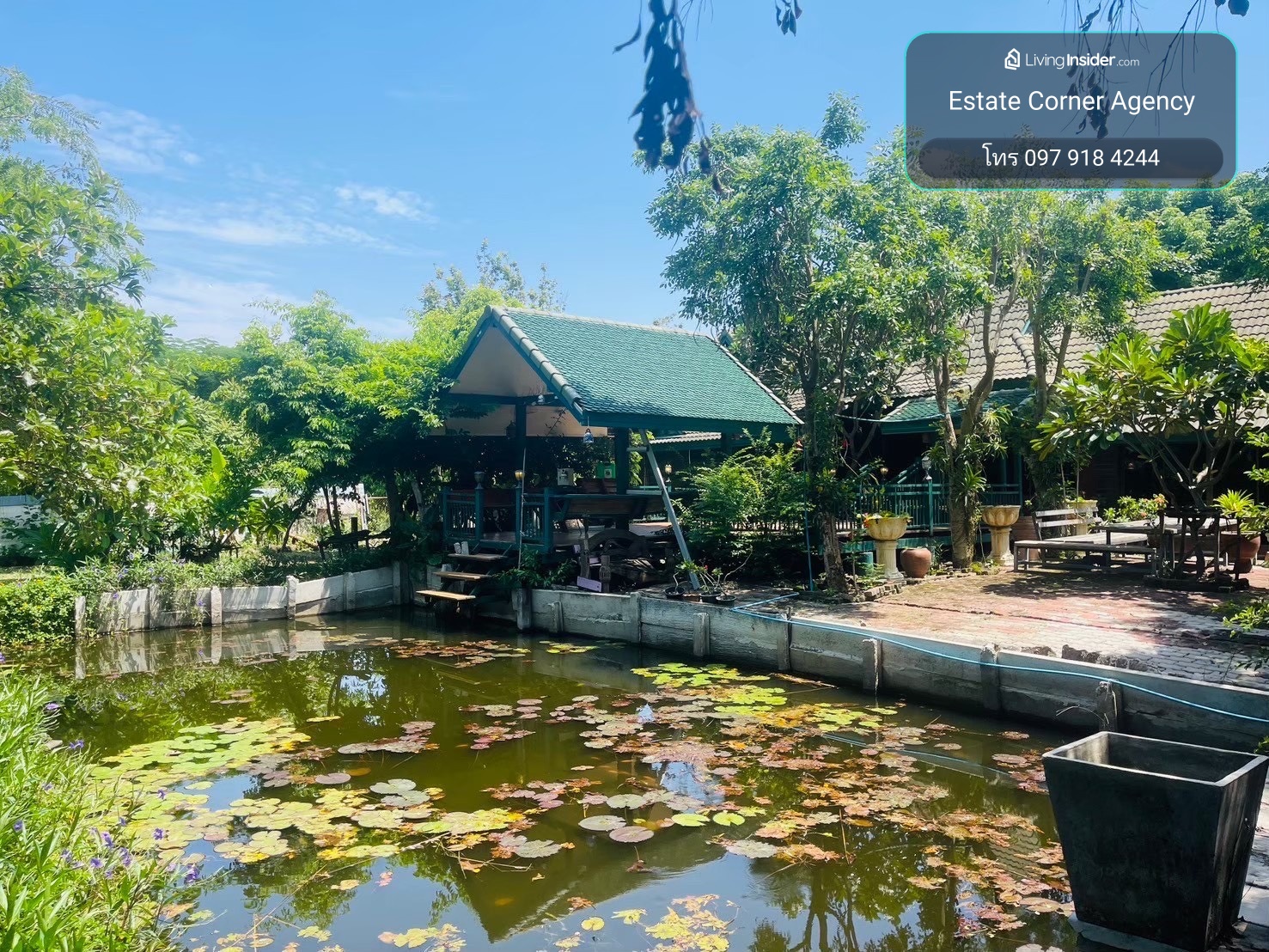 98255 - ขายที่ดินพร้อมสิ่งปลูกสร้าง 382 ตร.ว. อ.ไทรน้อย ต.ไทรใหญ่ จ.นนทบุรี – รูปที่ 2