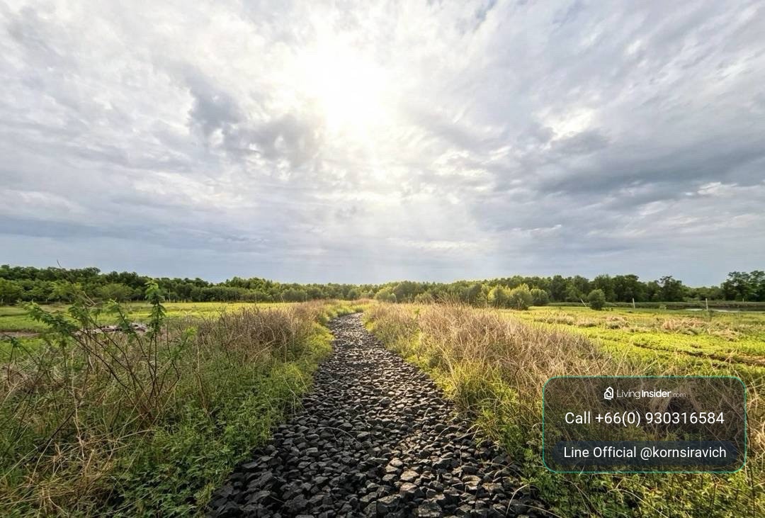 Prime Land for Resort &amp; Wellness Development | Bang Pu | Thailand – รูปที่ 4