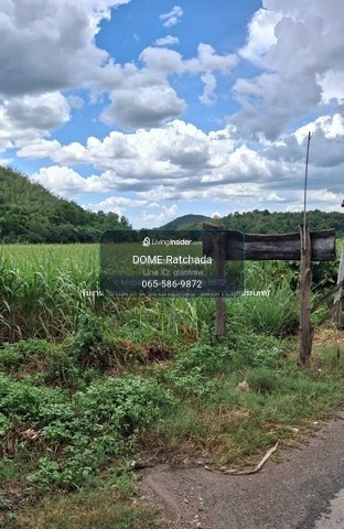 DSL-1352 Land for sale, Rai Oi land for sale (N.S. 3 Kor.) 19-0-40 rai, Huai Yang Subdistrict, Khon San District, Chaiyaphum Province, price 9.55 million baht, 9550000 baht, Chaiyaphum, Khon San, close to Khon San Witthayakhom School. – รูปที่ 3