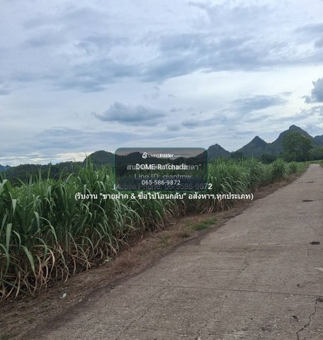 DSL-1351 Land for sale, Rai Oi land for sale (N.S. 3 Kor) 19-2-21 rai, Huai Yang Subdistrict, Khon San District, Chaiyaphum Province, price 9.78 million baht, Chaiyaphum 9780000 baht, 19 rai 2 ngan 7821 sq m, close to Khon Sarawittaya School. – รูปที่ 3