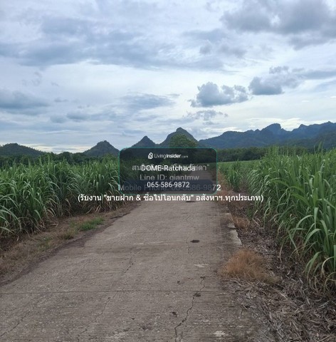 DSL-1351 Land for sale, Rai Oi land for sale (N.S. 3 Kor) 19-2-21 rai, Huai Yang Subdistrict, Khon San District, Chaiyaphum Province, price 9.78 million baht, Chaiyaphum 9780000 baht, 19 rai 2 ngan 7821 sq m, close to Khon Sarawittaya School. – รูปที่ 2