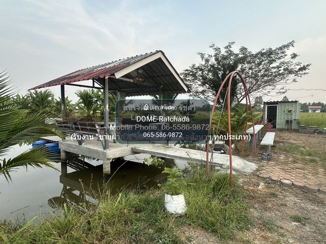 DSL-1333 ขายที่ดิน พร้อมบ้านสวนกลางทุ่งนา (มีบ่อน้ำ ศาลากลางน้ำ และต้นไม้ร่มรื่น) 2-2-58 ไร่ บึงน้ำรักษ์ คลอง 15 (ฉะเชิงเทรา) ใกล้กับ วัดบึงน้ำรักษ์ 4861000 บาท – รูปที่ 3