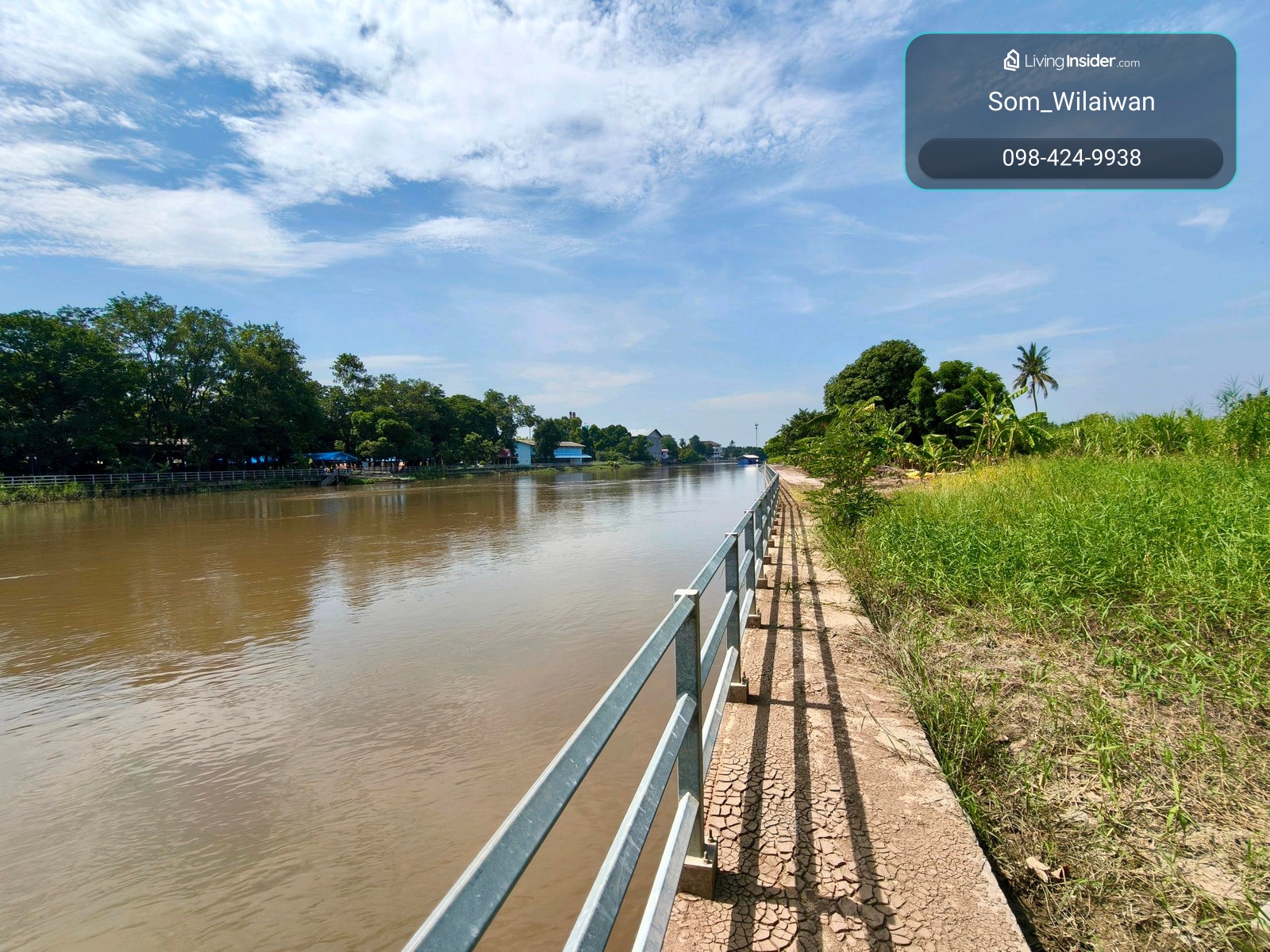House along the Tha Chin River, Suphanburi With mango orchard, area 4 rai 3 ngan more, Wang Nam Sap Subdistrict, Si Prachan District, Suphan Buri Province. – รูปที่ 3