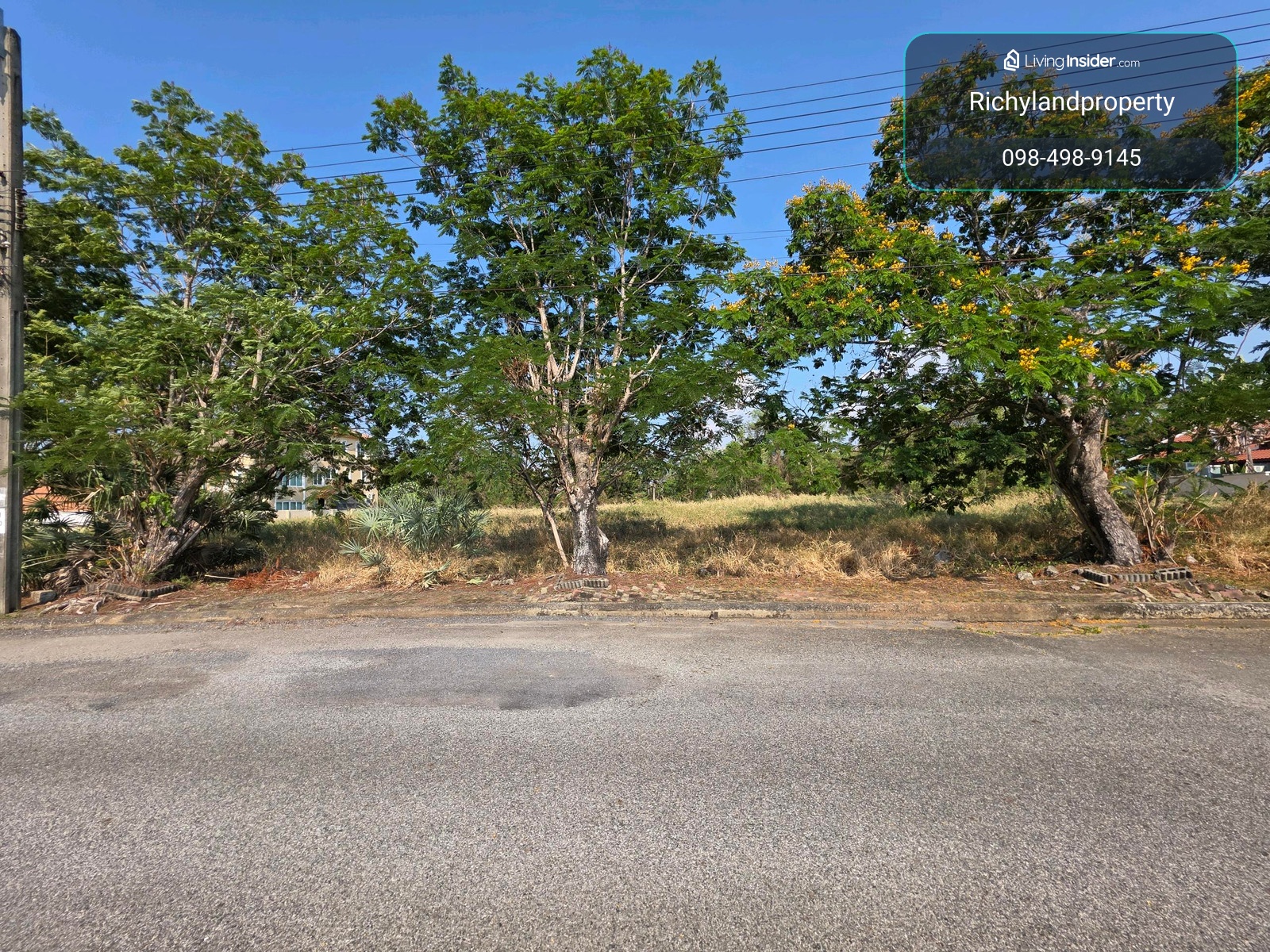 ขายที่ดิน Lakewood บางนา 958 ตร.ว เหมาะสร้างบ้าน ใกล้ Maga Bangna – รูปที่ 3