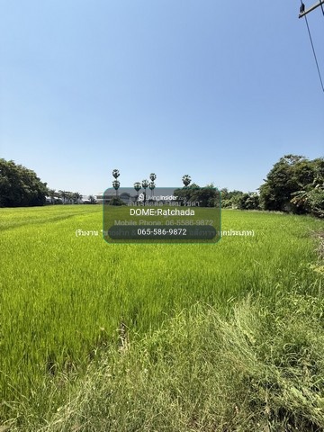 Rice field land for sale (green plan) 2-1-31 rai, Ban Lat District, Phetchaburi Province, price 5.82 million baht. – รูปที่ 4