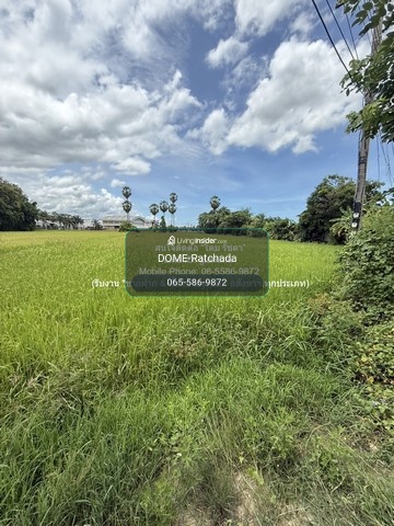 Rice field land for sale (green plan) 2-1-31 rai, Ban Lat District, Phetchaburi Province, price 5.82 million baht. – รูปที่ 3
