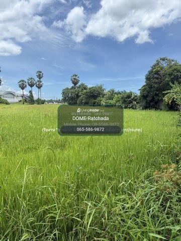 Rice field land for sale (green plan) 2-1-31 rai, Ban Lat District, Phetchaburi Province, price 5.82 million baht. – รูปที่ 2