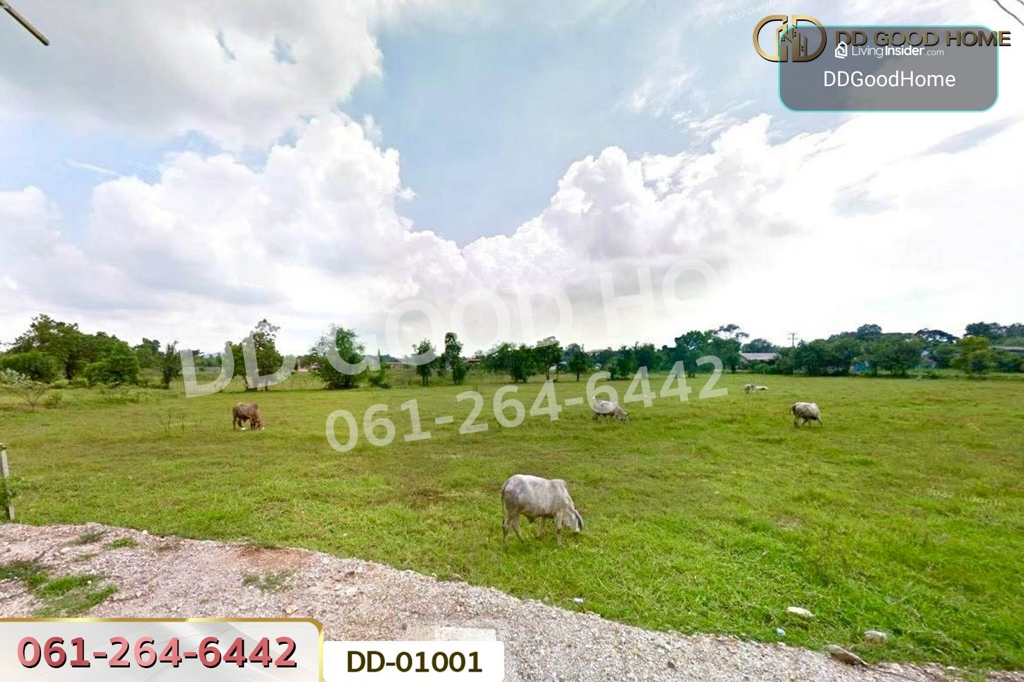 ที่ดินตะกุด 4 ไร่ 229.5 ตร.ว. สระบุรี ใกล้โรบินสัน ไลฟ์สไตล์ สระบุรี DD-01001 – รูปที่ 3