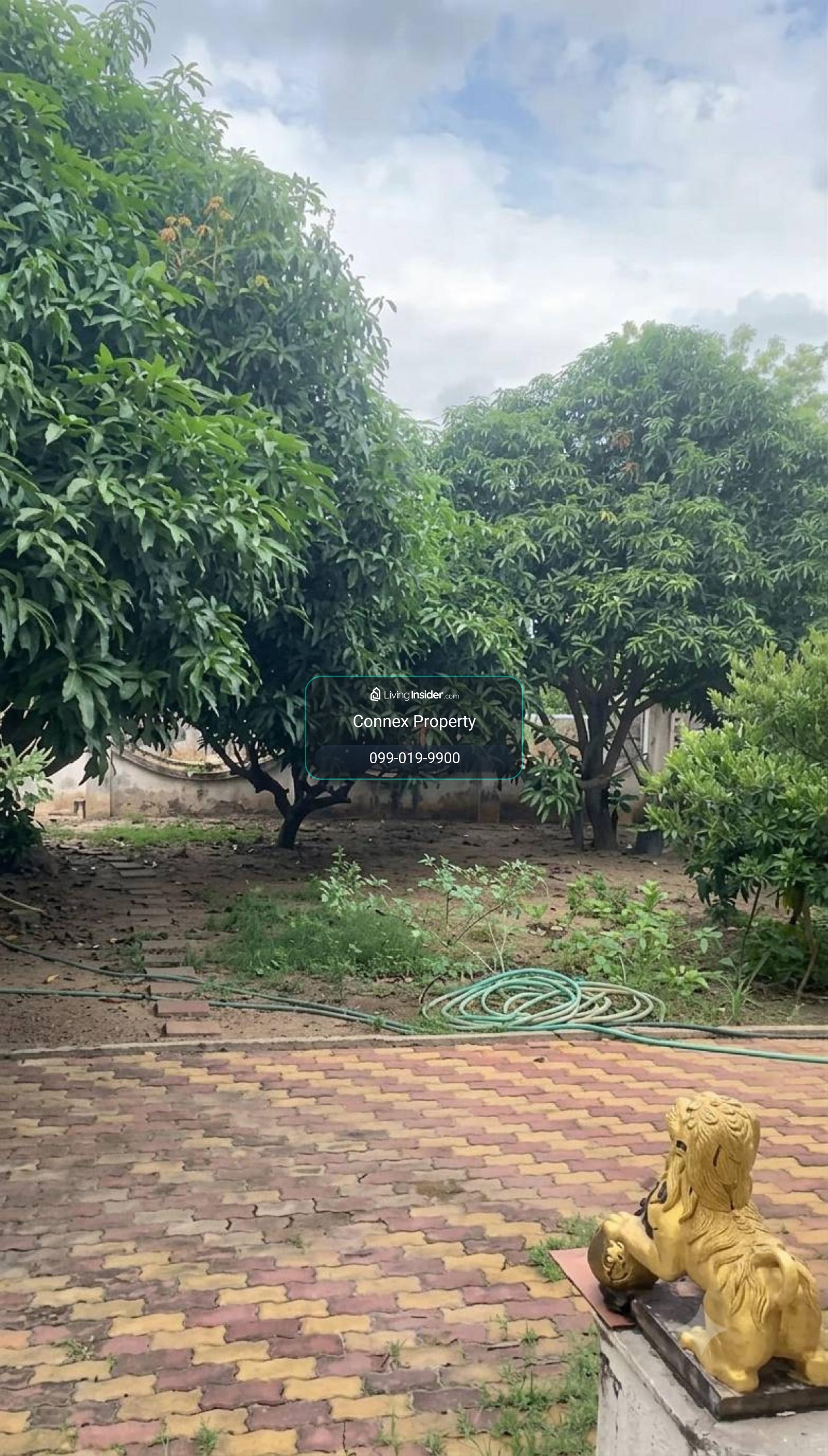 ขายบ้านคลองสี่ คลองหลวงติดถนน คลองสี่ คลองหลวง ปทุมธานี CX-167681 – รูปที่ 4