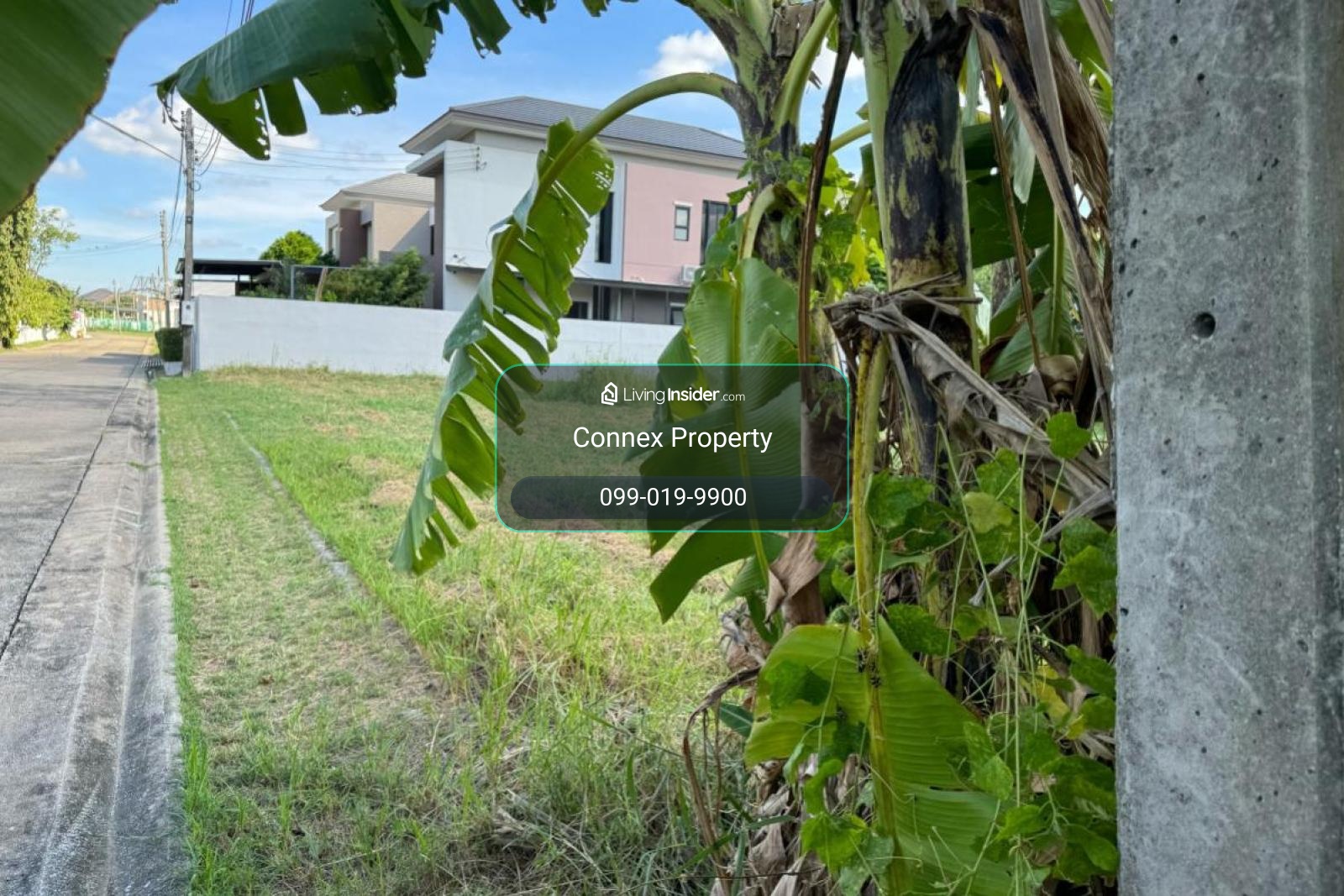 For Sale Land , Baan Siwalee Rangsit 2 , Khu Khot , Lam Luk Ka , Pathum Thani , CX-107581 – รูปที่ 2