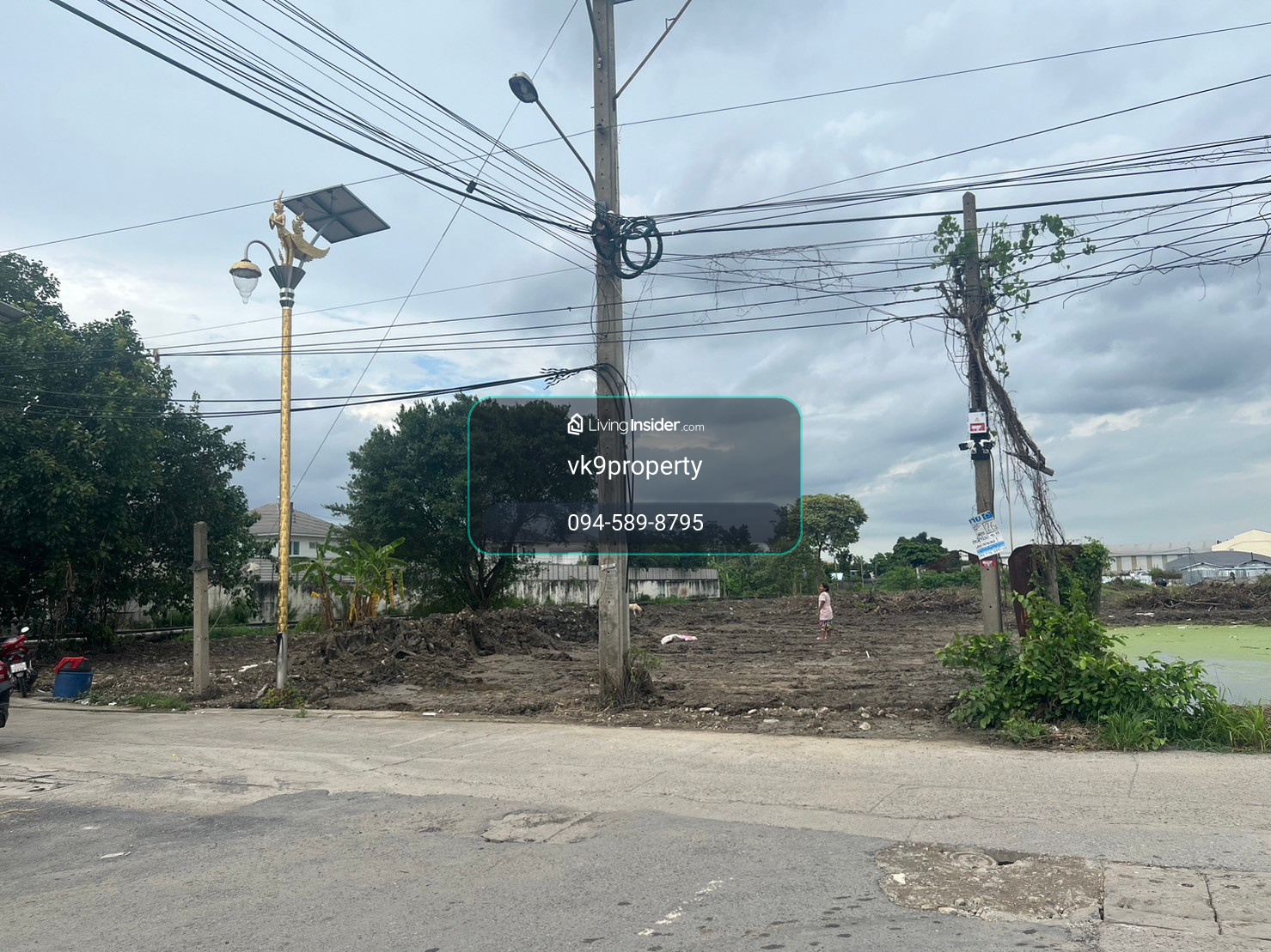 Land for sale, King Kaew 43, area 198 sq m., Bangna Trat Km. 12, near Suvarnabhumi Airport. – รูปที่ 3