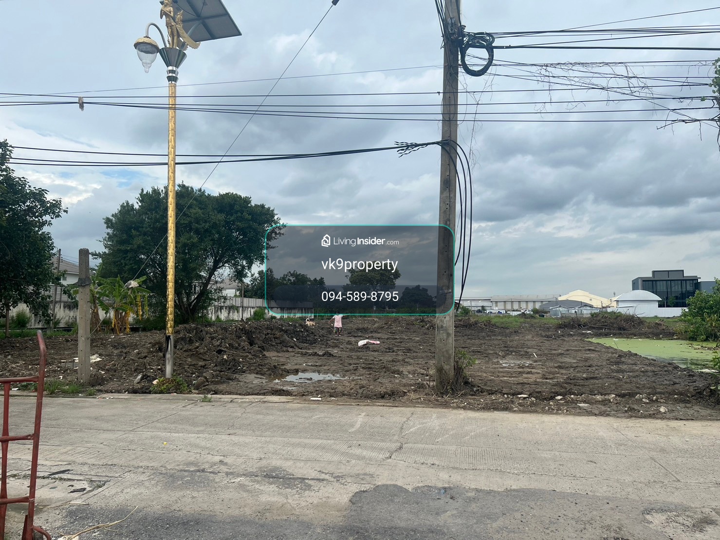 ให้เช่า ที่ดิน กิ่งแก้ว 43 เนื้อที่ 198 ตรว. บางนาตราด กม. 12  ใกล้สนามบินสุวรรณภูมิ   – รูปที่ 2